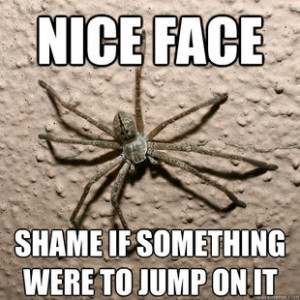 spider-niceface