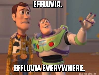 effluvia