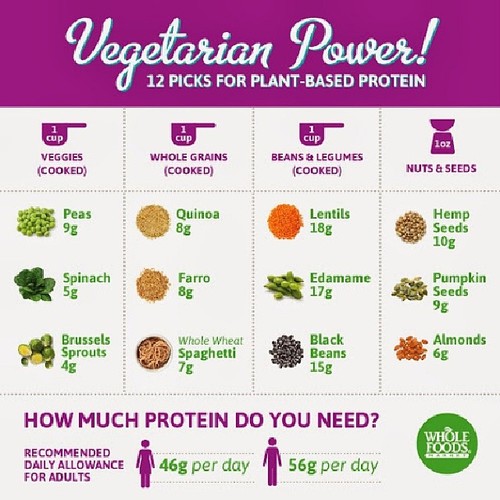 vegprotein